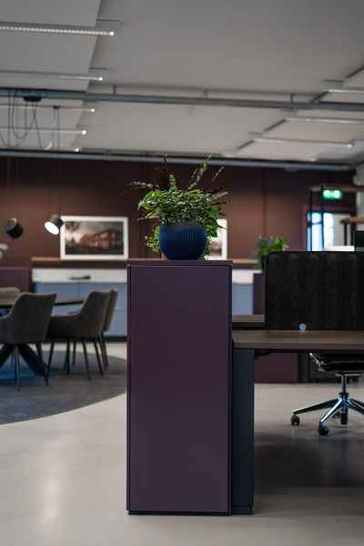 Alexandra Izeboud Interieurontwerp
